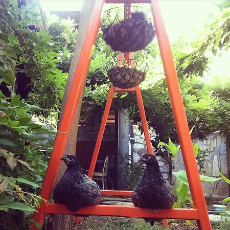 Motel Yamac Selimiye (Aegean)