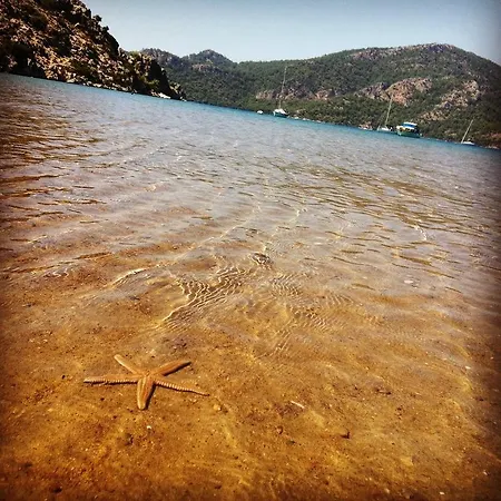 Yamac Motel Selimiye (Aegean)