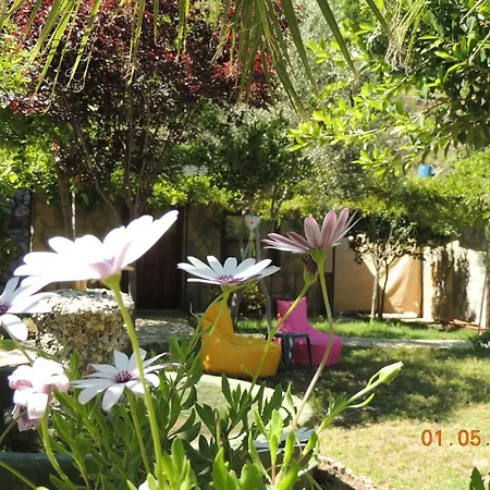 Yamac Selimiye (Aegean)