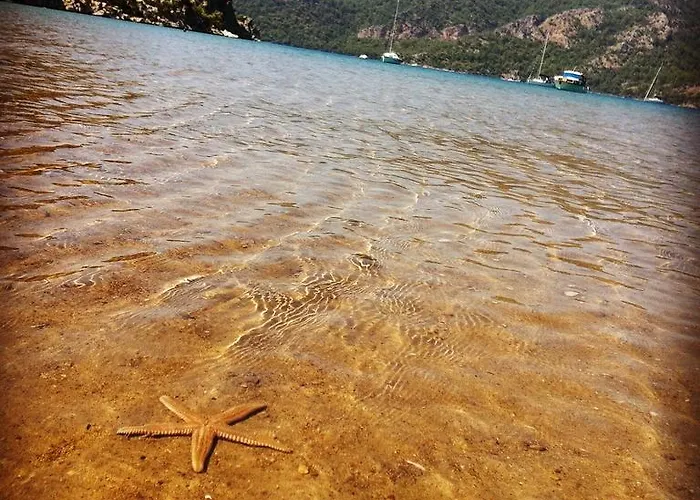 Yamac Motel Selimiye (Aegean)